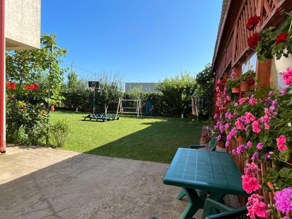 Vila Alexa Costinesti Esterno foto