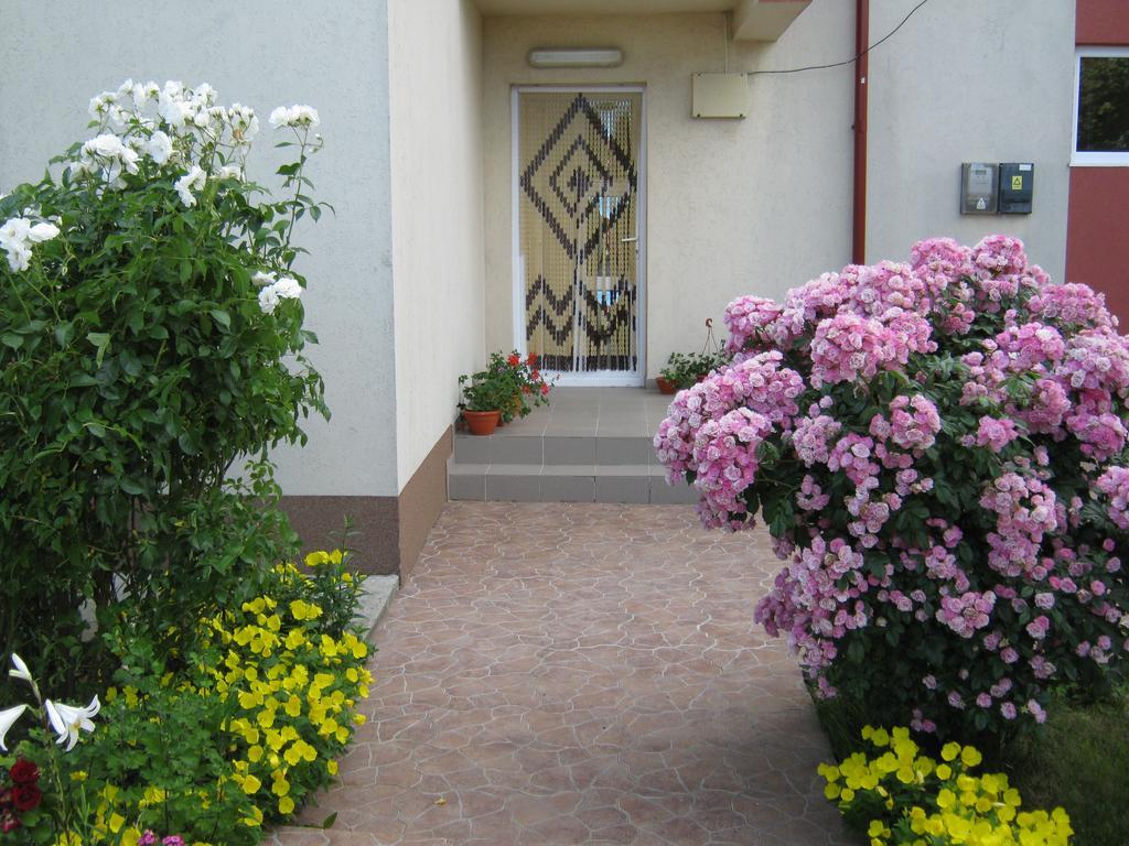 Vila Alexa Costinesti Esterno foto